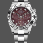 Rolex Cosmograph Daytona 40MM White Gold Rare Rubellite Dial 116509 Men's Watch