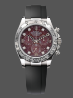 Rolex Cosmograph Daytona 40MM White Gold Rare Rubellite Dial 116509 Rubber Strap