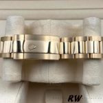 Rolex Sky-Dweller m336938-0004 Yellow Gold Champagne Dial 42mm Mens Replica Watch - Image 16