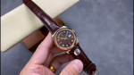 Rolex Day Date 36 Everose Diamond Chocolate 118135 0020 Watch - Image 2