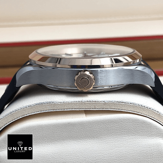 Omega Seamaster Aqua Terra 220.22.41.21.02.001 Supreme Replica Edition omega seamaster 220.22.41.21.02.001 replica rightside Omega Seamaster Stainless Steel Crown Replica in the box