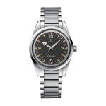Omega Seamaster Railmaster Steel 220.10.38.20.01.002 Masterpiece Replica - Image 3